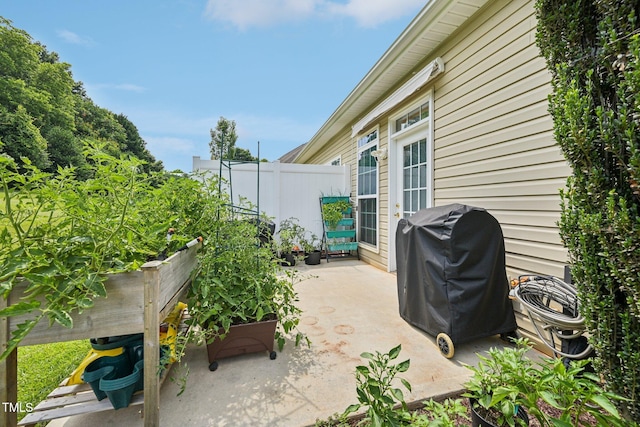 1004 Lake Michael Way, Mebane, NC 27302 - view of patio featuring grilling area