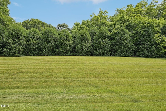 1004 Lake Michael Way, Mebane, NC 27302 - view of grassy yard