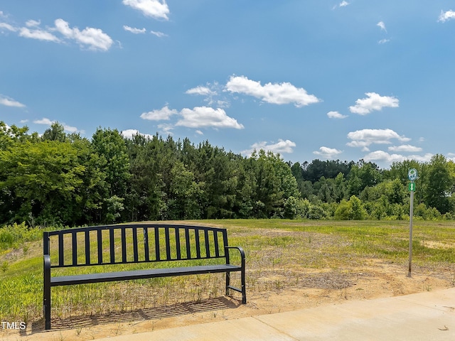 516 Winding Creek Dr, Lillington, NC 27546 - photo 10