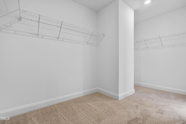 219 Broomgrove Way, Wake Forest, NC 27587 - walk in closet featuring carpet