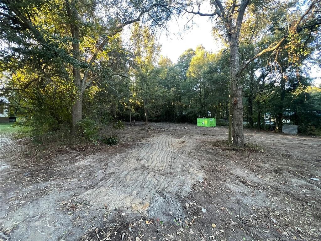 17500 Cornwall Dr, Laurinburg, NC 28352 - photo 3