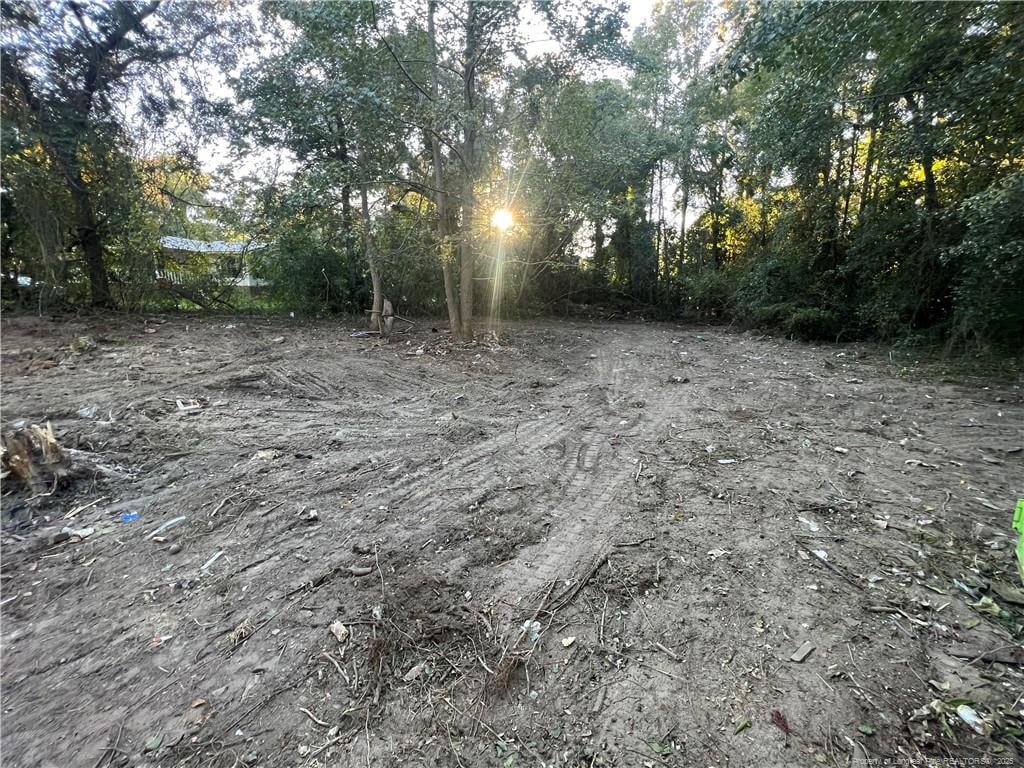17500 Cornwall Dr, Laurinburg, NC 28352 - photo 4