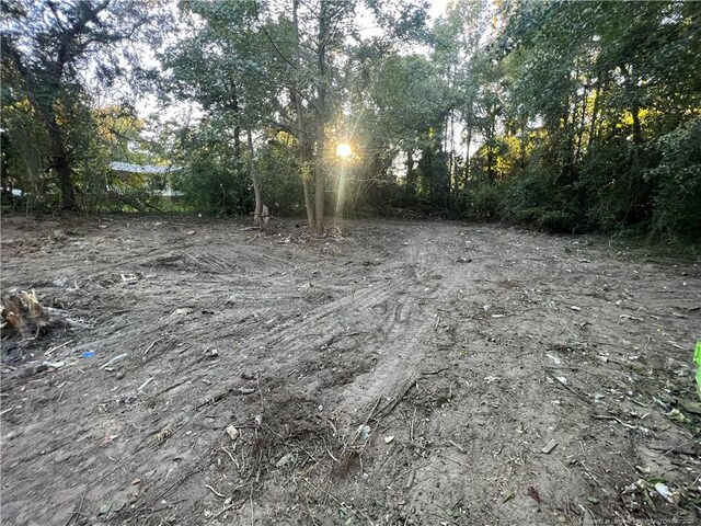 17500 Cornwall Dr, Laurinburg, NC 28352 - photo 4