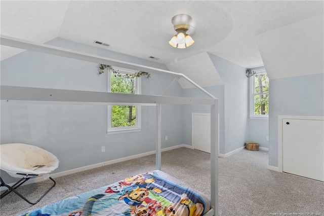 1266 Exeter Ln, Fayetteville, NC 28314 - unfurnished bedroom with lofted ceiling, multiple windows, carpet, baseboards, and a textured ceiling
