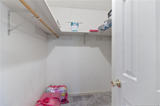 1266 Exeter Ln, Fayetteville, NC 28314 - walk in closet with carpet flooring