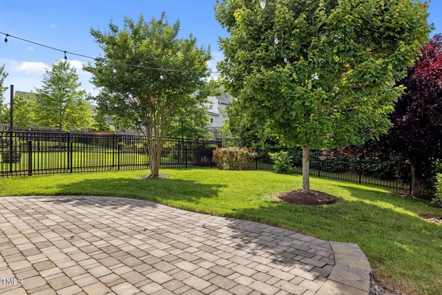78 Salt Cedar Ln, Chapel Hill, NC 27516 - view of patio