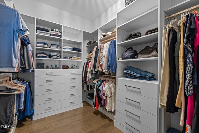 78 Salt Cedar Ln, Chapel Hill, NC 27516 - spacious closet with wood finished floors