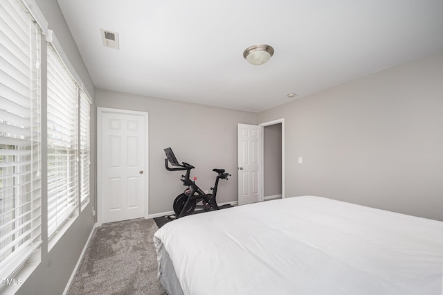 1211 Whispering Oak Ln, Durham, NC 27704 - carpeted bedroom featuring multiple windows and baseboards