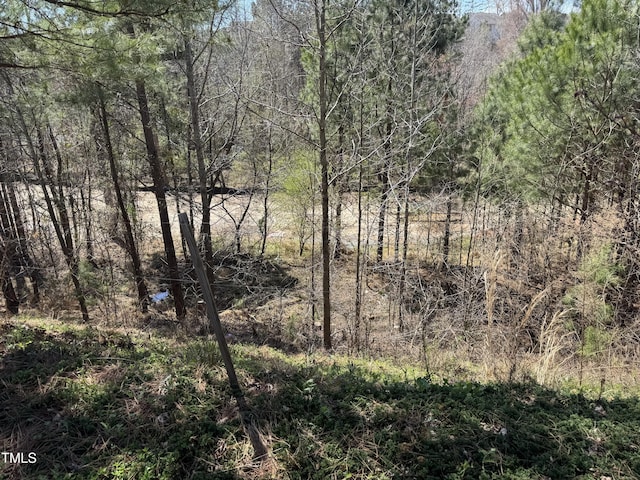 1004 Bridlemine Dr, Fuquay Varina, NC 27526 - view of woods