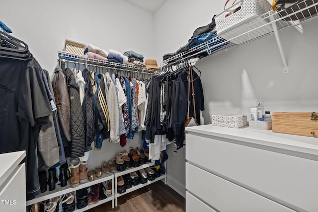98 Stone Bridge Xing Unit 98, Chapel Hill, NC 27517 - walk in closet with dark wood-type flooring