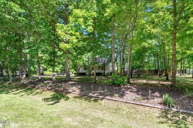 25 Misty Way, Franklinton, NC 27525 - photo 29