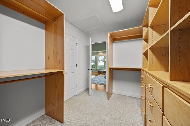 1973 Elon Ossipee Rd, Elon, NC 27244 - walk in closet with light carpet and attic access