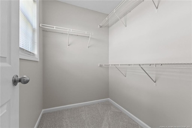 4404 Bunkers Bay Ln, Parkton, NC 28371 - spacious closet with carpet