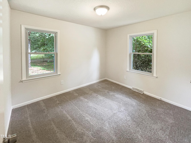 1413 Chamblee Rd, Zebulon, NC 27597 - spare room featuring plenty of natural light, carpet, baseboards, and a textured ceiling