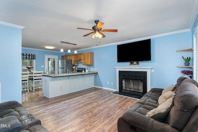4575 Wendell Blvd, Wendell, NC 27591 - living room with a ceiling fan, wood finished floors, a textured ceiling, ornamental molding, and a fireplace with flush hearth