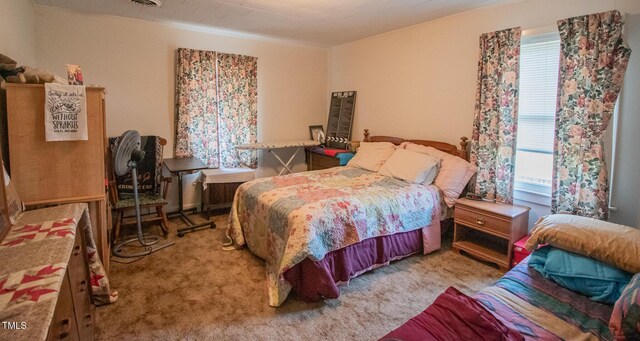 424 Camp Rd, Burlington, NC 27217 - photo 22