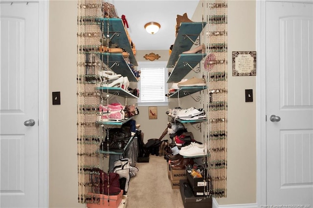 89 Revolutionary Rd, Cameron, NC 28326 - view of storage area