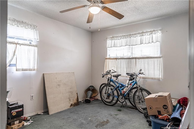 8212 Main St, West End, NC 27376 - misc room featuring healthy amount of natural light, a textured ceiling, a ceiling fan, and carpet flooring