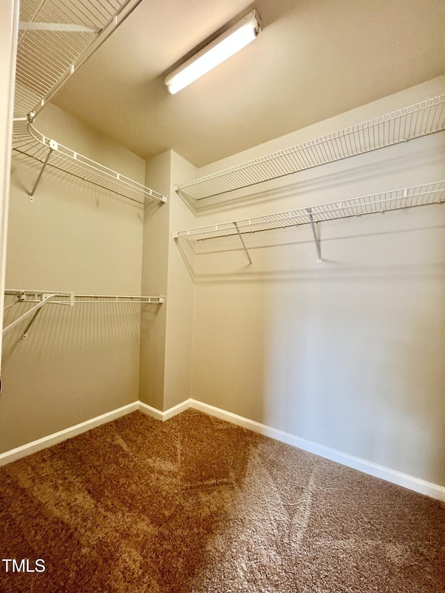 2118 Kedvale Ave, Raleigh, NC 27617 - walk in closet with carpet flooring