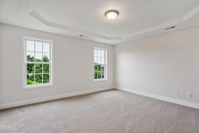 128 Newton Ct, Raeford, NC 28376 - carpeted empty room featuring a raised ceiling and baseboards