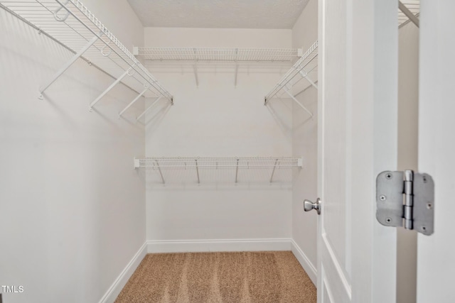128 Newton Ct, Raeford, NC 28376 - walk in closet featuring carpet floors