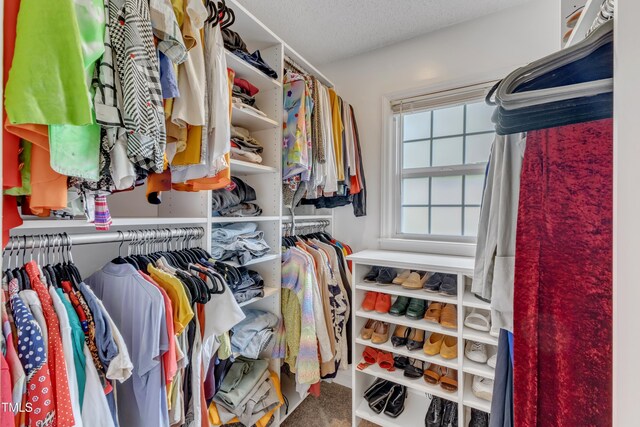 4009 Olde Coach Rd, Durham, NC 27707 - view of walk in closet