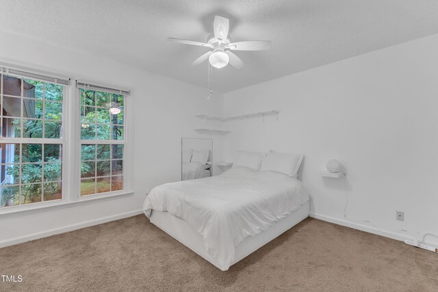 4009 Olde Coach Rd, Durham, NC 27707 - carpeted bedroom with baseboards and ceiling fan