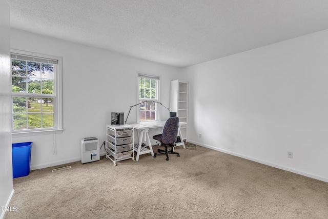 4009 Olde Coach Rd, Durham, NC 27707 - office with carpet floors, baseboards, and a textured ceiling