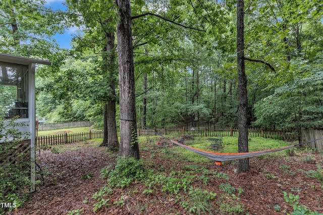 4009 Olde Coach Rd, Durham, NC 27707 - view of yard