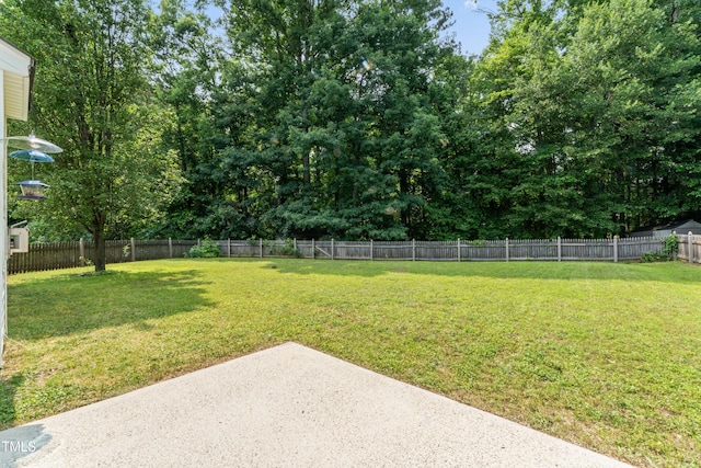 107 Woolard Way, Apex, NC 27502 - view of yard with a patio area