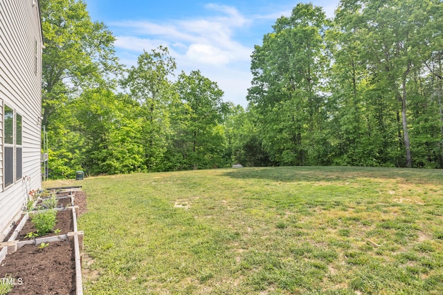 537 Hobkirks Pl, Durham, NC 27704 - view of green lawn with a vegetable garden