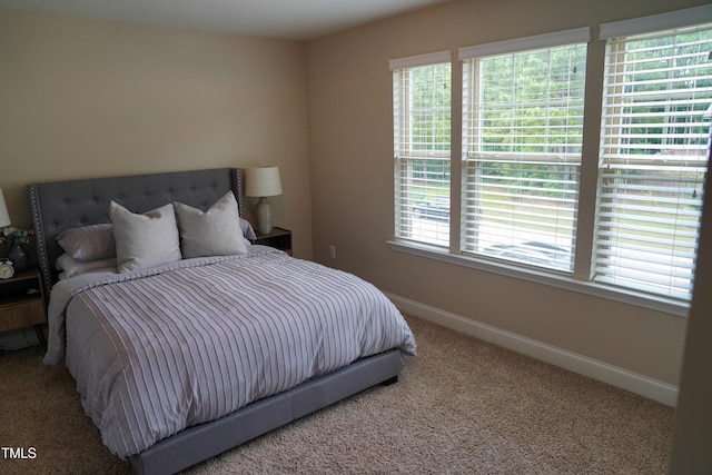 825 Fulworth Ave, Wake Forest, NC 27587 - bedroom with carpet flooring and baseboards
