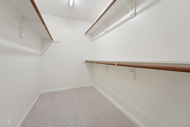 111 Catherwood Pl, Cary, NC 27518 - walk in closet featuring carpet