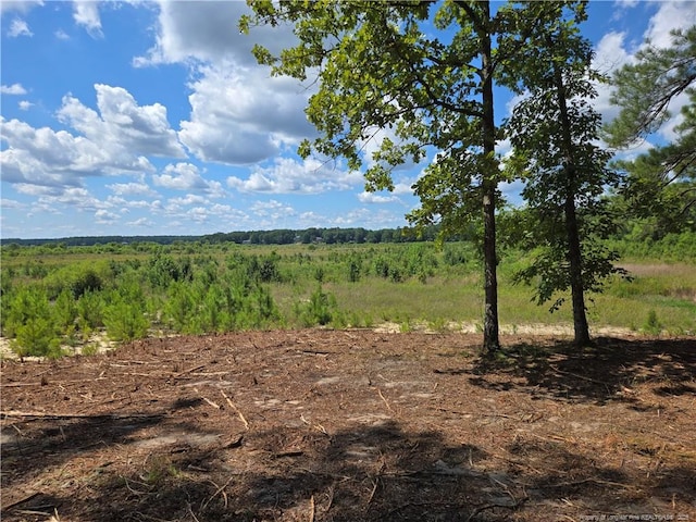 878 Loblolly Dr, Woodlake, NC 28394