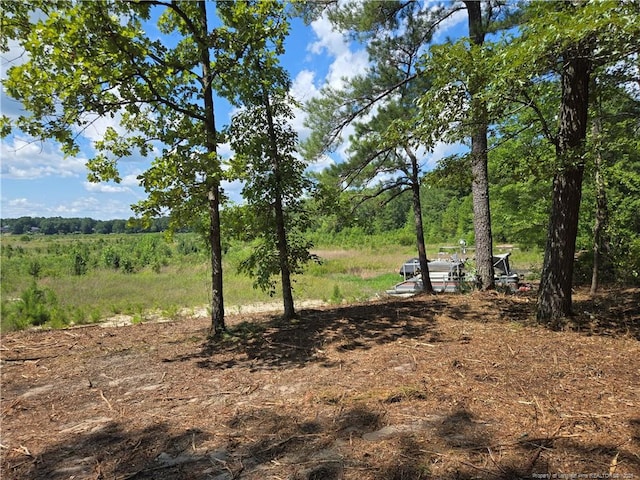 878 Loblolly Dr, Woodlake, NC 28394