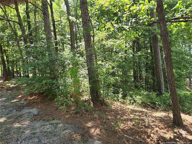 878 Loblolly Dr, Woodlake, NC 28394