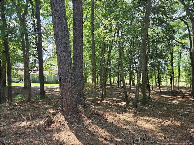 878 Loblolly Dr, Woodlake, NC 28394