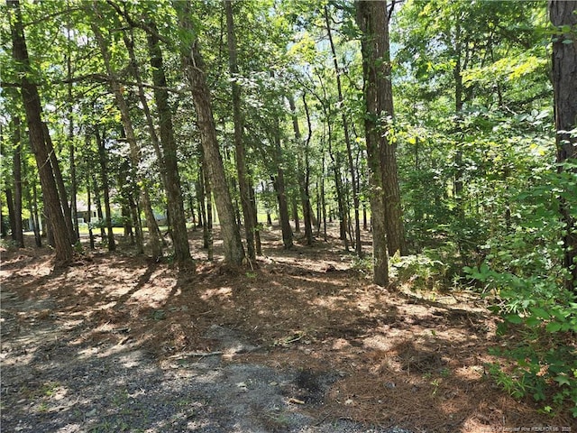 878 Loblolly Dr, Woodlake, NC 28394