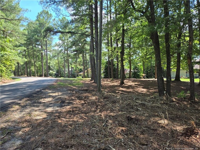 878 Loblolly Dr, Woodlake, NC 28394