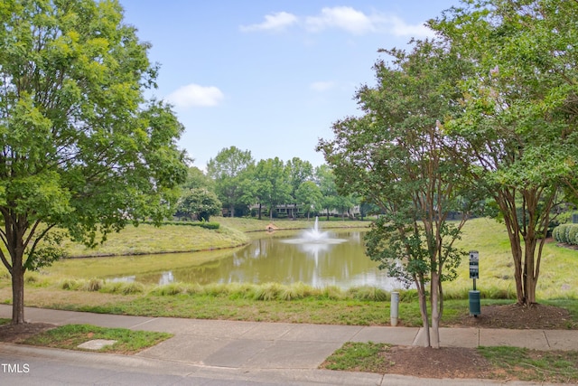 2420 Rogerson St, Raleigh, NC 27614 - photo 16