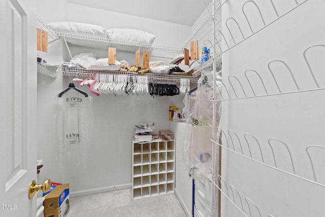2313 Filigree Ct, Raleigh, NC 27614 - walk in closet with carpet flooring