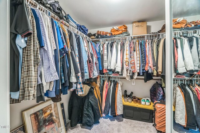 647 N Hardee St, Durham, NC 27703 - walk in closet with carpet floors
