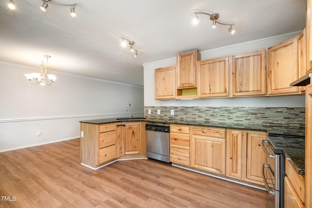 134 Chateau Rd, Durham, NC 27704 - kitchen with stainless steel dishwasher, light brown cabinets, a sink, a peninsula, and rail lighting