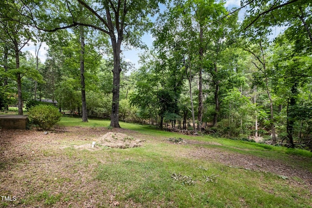 134 Chateau Rd, Durham, NC 27704 - view of yard