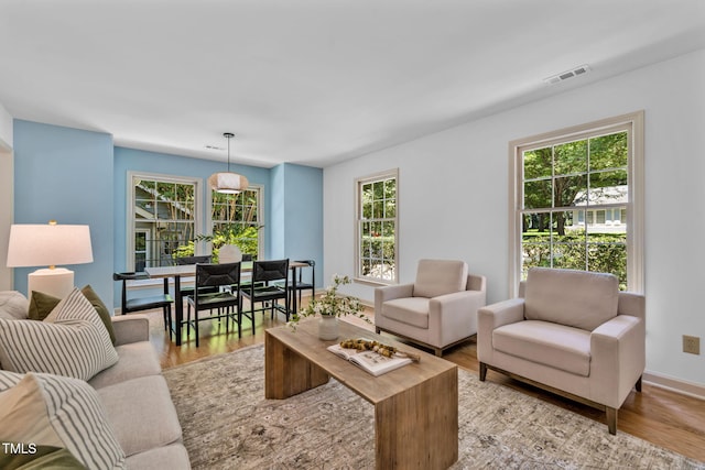 117 Summerlin Dr, Chapel Hill, NC 27514 - living area with plenty of natural light and wood finished floors