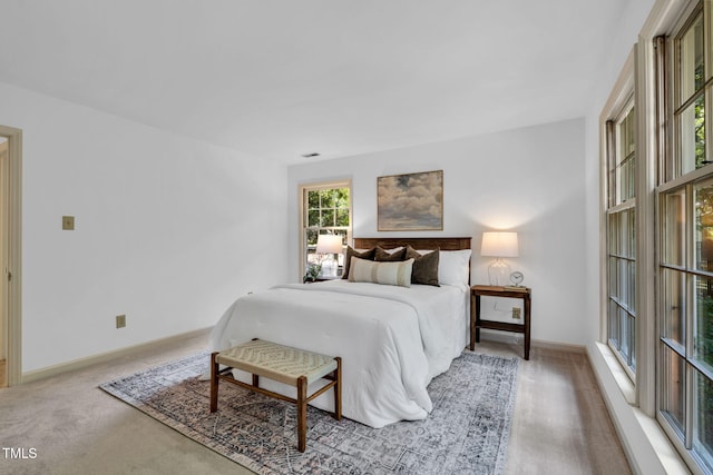 117 Summerlin Dr, Chapel Hill, NC 27514 - carpeted bedroom featuring baseboards