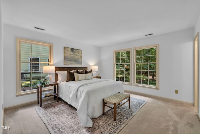 117 Summerlin Dr, Chapel Hill, NC 27514 - bedroom with carpet