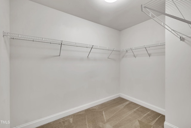 2018 Morehead Hill Ct, Durham, NC 27703 - walk in closet with light colored carpet