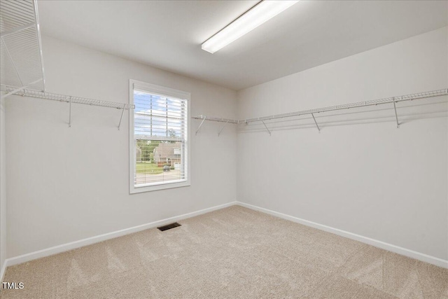 1704 Fawn Chase Ct, Wake Forest, NC 27587 - walk in closet with carpet