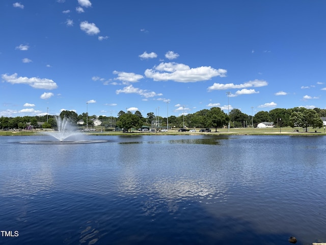 366 E Smithfield St, Angier, NC 27501 - water view